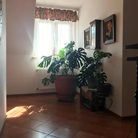 Pokoje Nad Babką